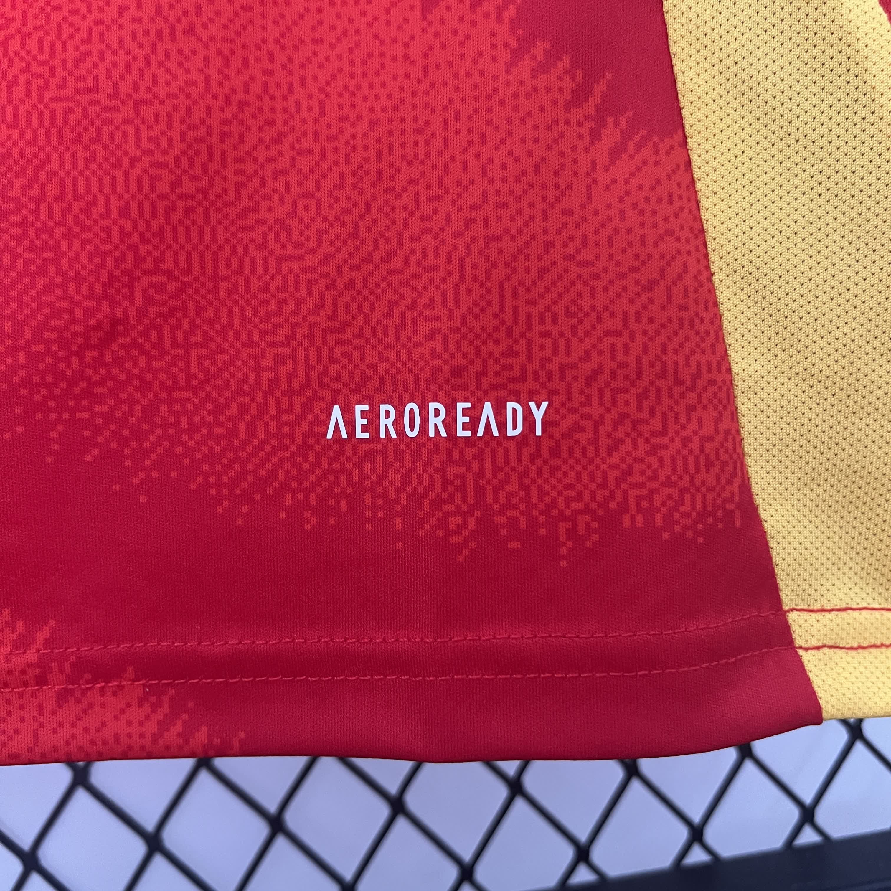 Spanien 2024/2025 Fußballtrikot – Größe S bis XXXL | Offizielles Team-Shirt