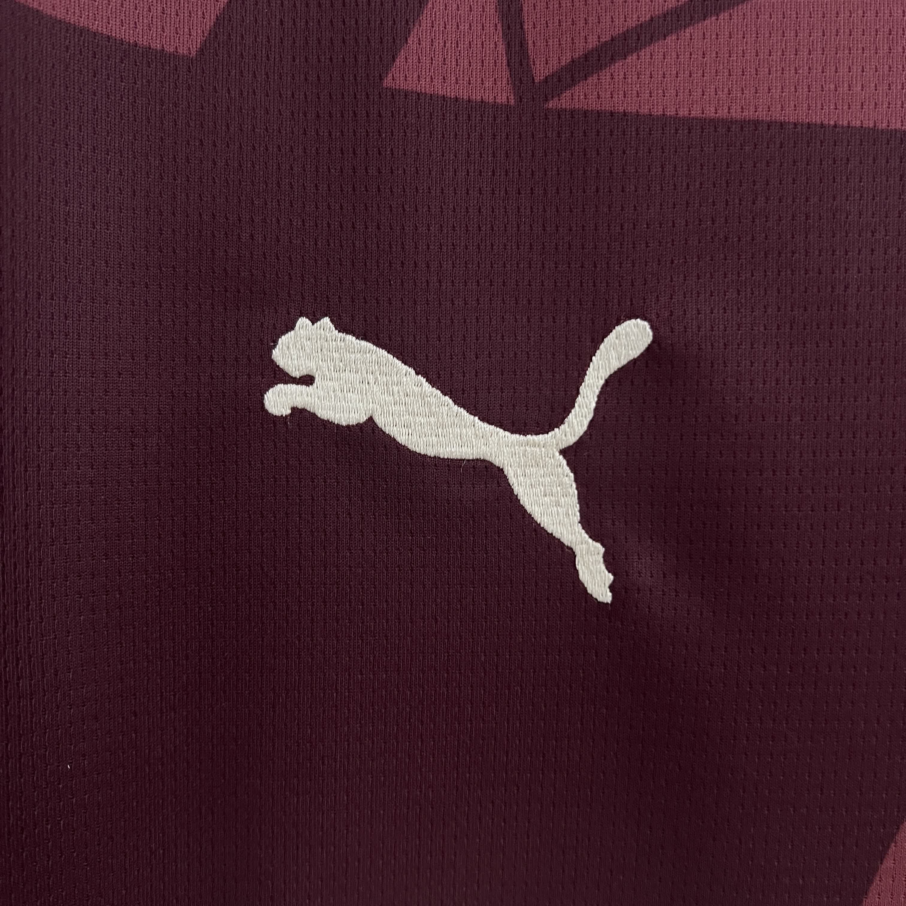 Manchester City Uit Shirt 2024/25