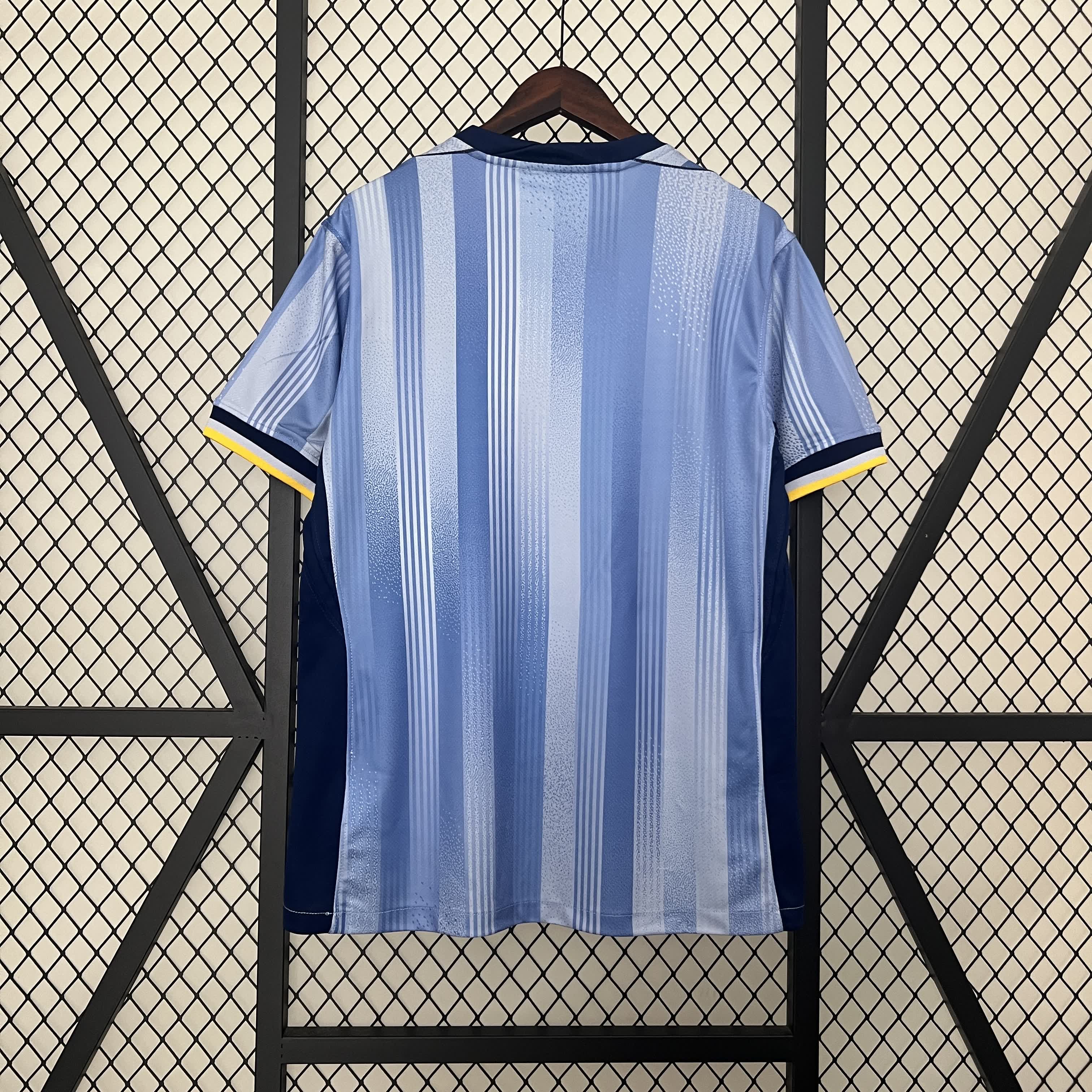 Tottenham Hotspur Uit Shirt 2024/25