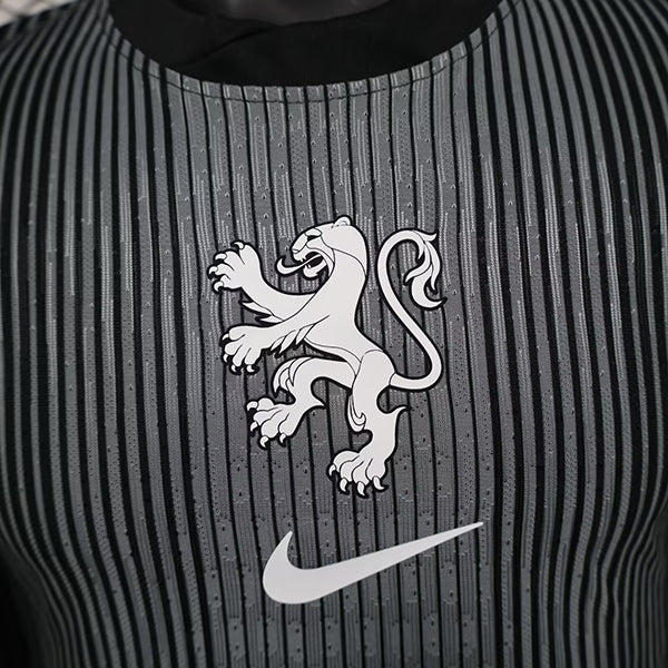 Netherlands Training Shirt 2025 - Holland