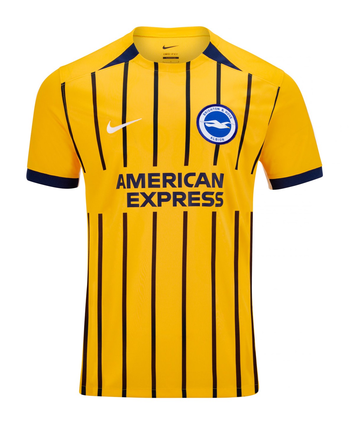Brighton & Hove Albion Away Shirt 2024/2025