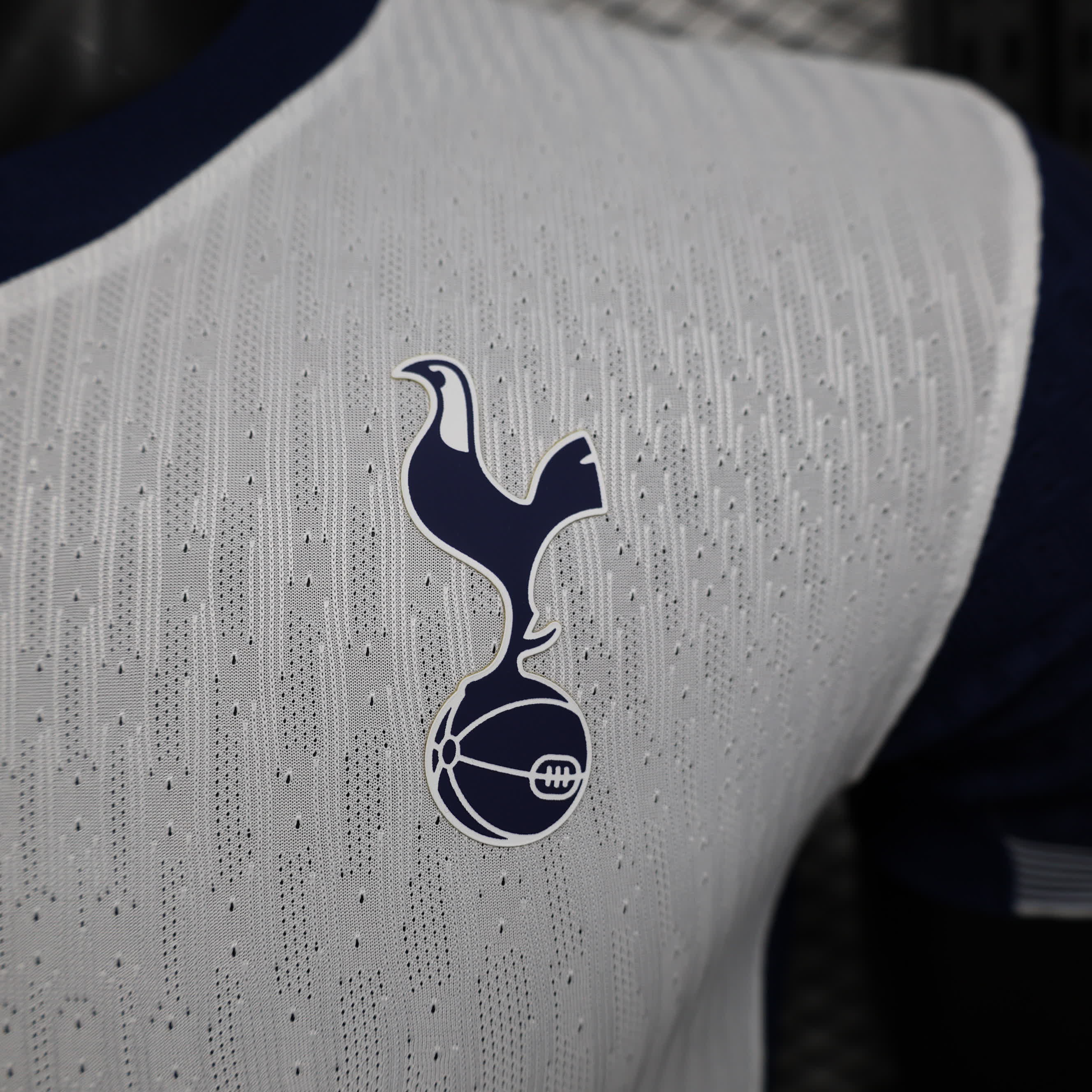 Tottenham Hotspur Thuis Shirt 2024/25