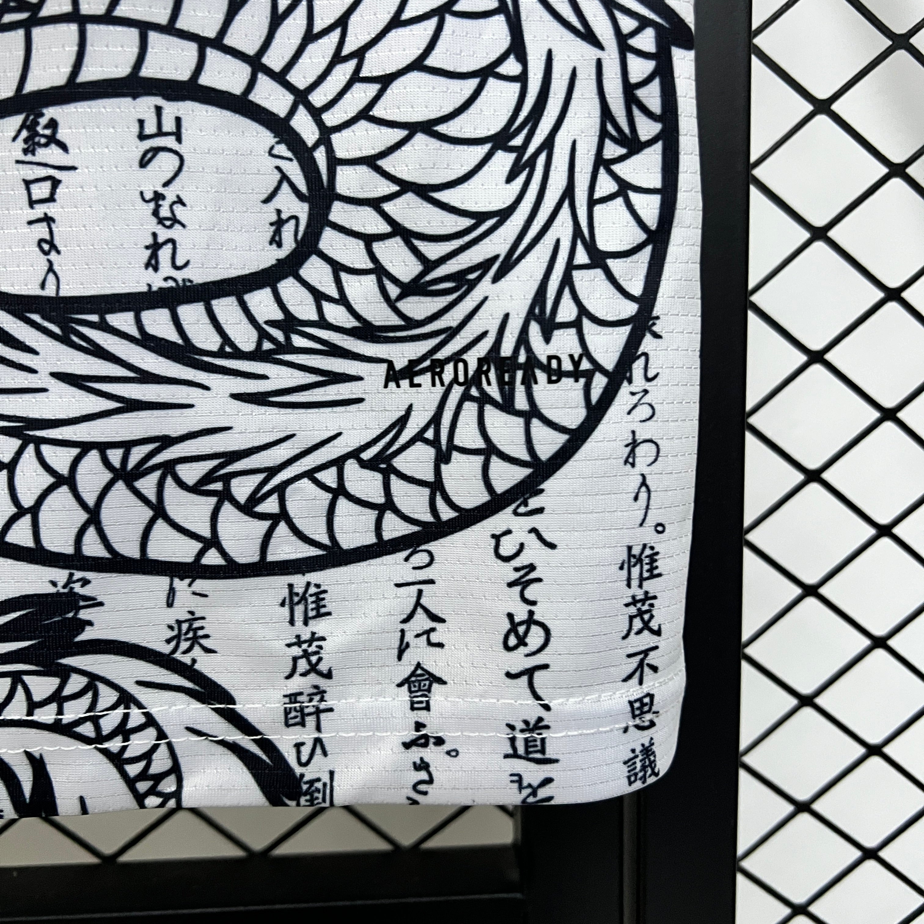 Japan Dragon Year Edition 2024/2025