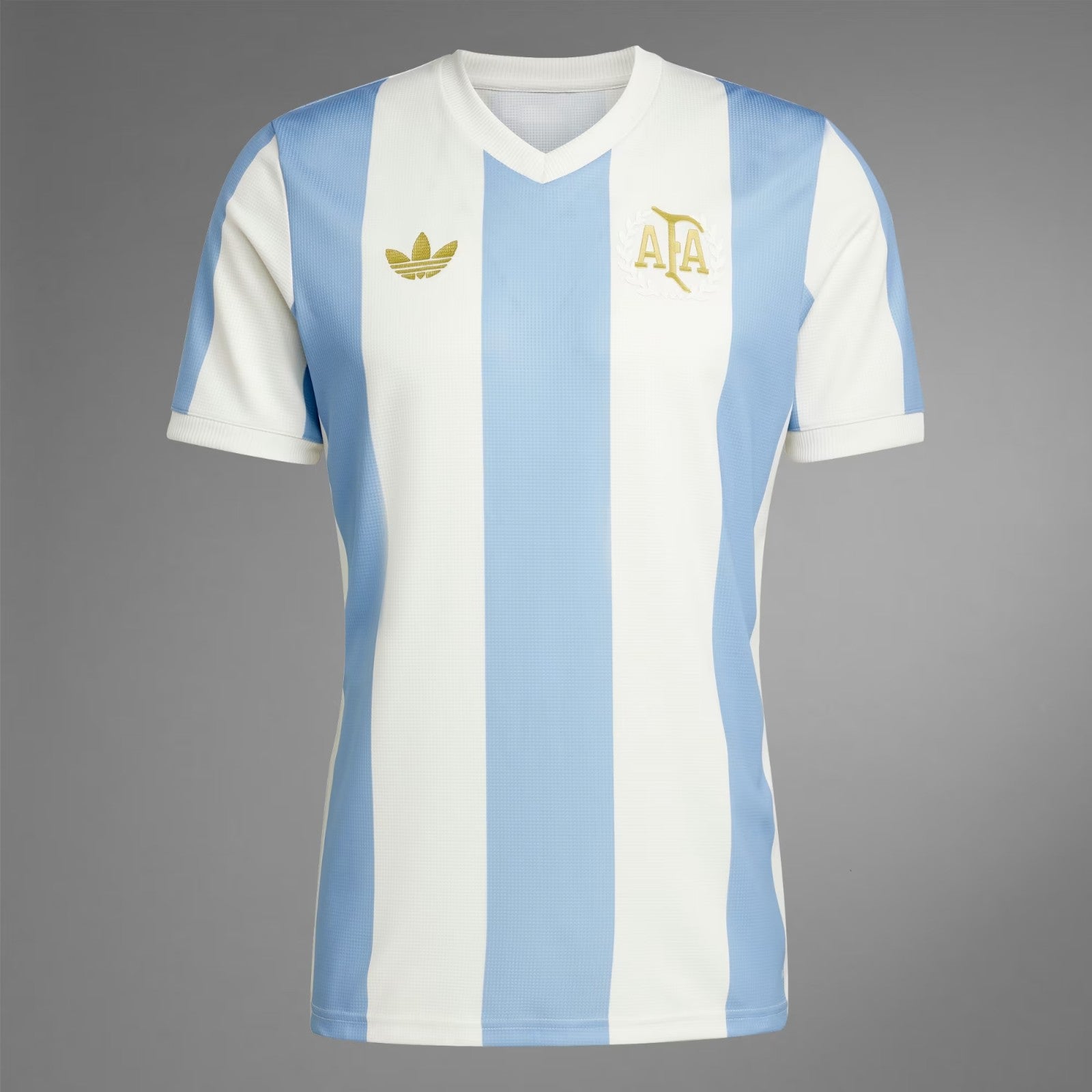 Special Edition Argentinien Heimtrikot 2024