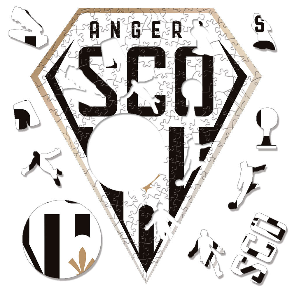 Angers - Football Puzzle