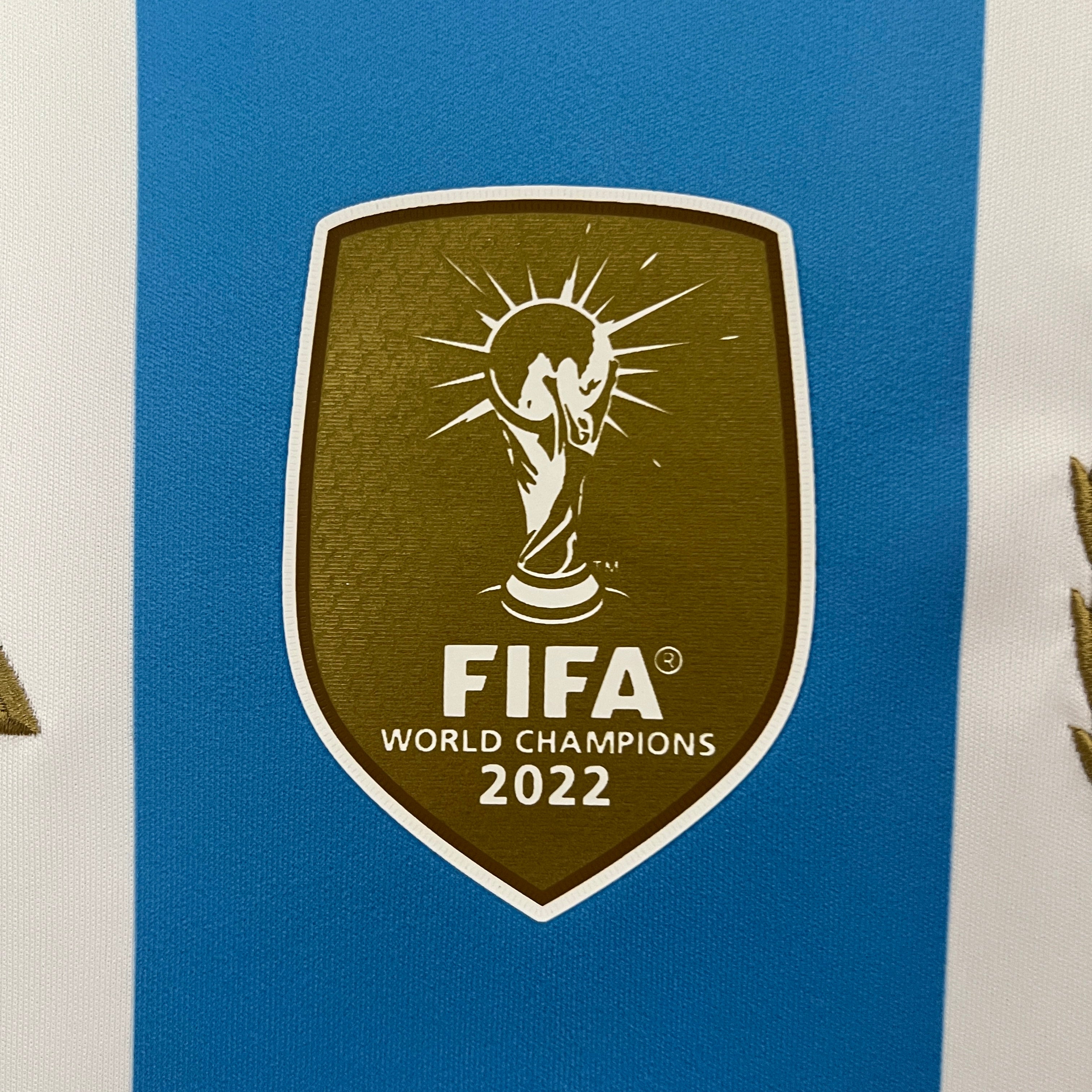 Divise ufficiali Home dell'Argentina per la stagione 2024/2025!